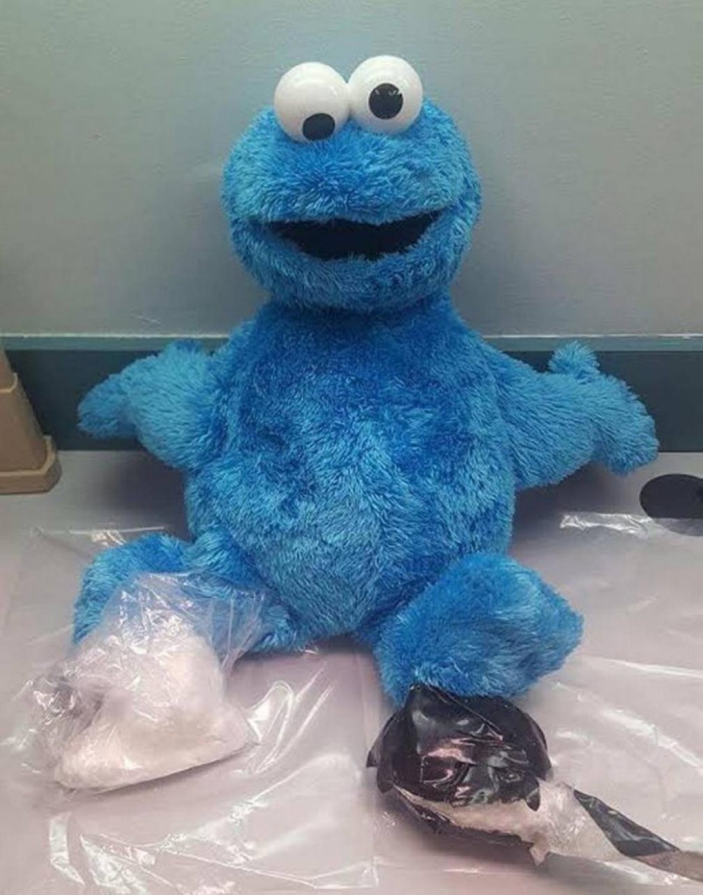 cookie monster teddy