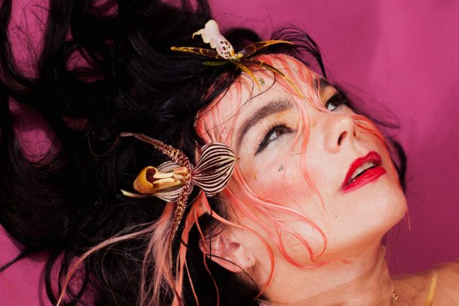 Björk reveals that her next album is made for "living room clubs"