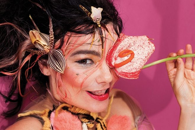 Björk reissues her albums on multi-colored cassettes