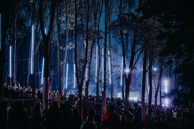 Forbidden Forest adds Chris Stussy, Andy C and Sam Divine to 2025 line-up