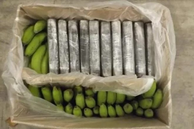 £300 million worth of cocaine found in banana shipment