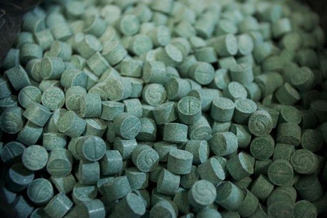 Over 3,500 MDMA capsules confiscated at Sydney music festival