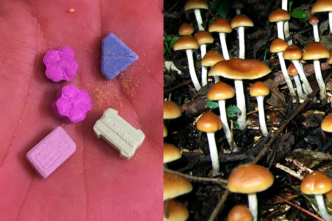 Australia becomes first country to approve MDMA and psilocybin for medical use