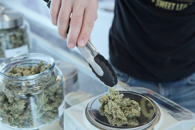 Survey finds 55% of Europeans support legal recreational cannabis use