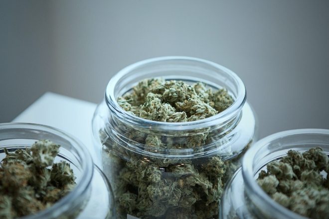 A 5000-person cannabis trial could take place in the UK