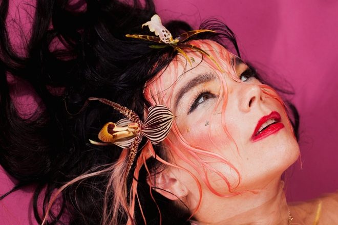 Bluedot Festival 2020 announces line-up, Björk headlines