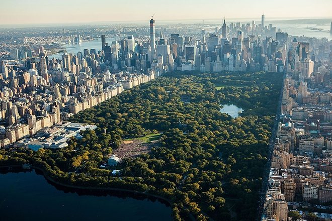 ​60,000 person festival planned for New York's Central Park this summer