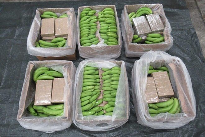 5.7 tonnes of cocaine found in banana shipment marks UK’s “largest” drugs bust