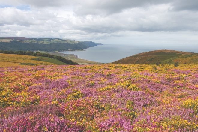 ​Illegal rave host banned from Exmoor National Park for a year