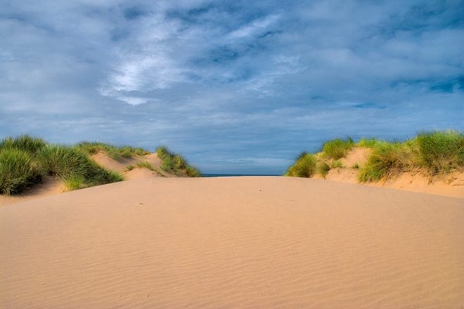 Police caught 100 people having an illegal beach rave on a National Trust site