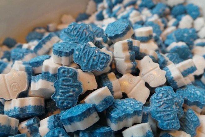 Science professor faces jail for allegedly getting his students to make ecstasy