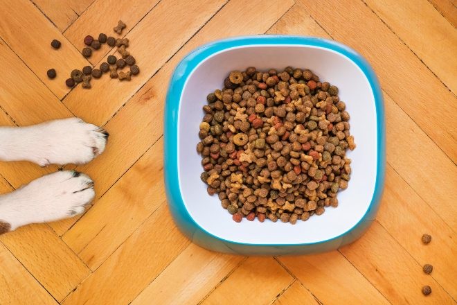 Eight kilos of MDMA pills found in a shipment of pet food