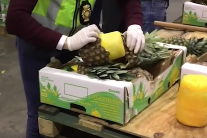 ​Police found 745 kilos of cocaine stashed inside fresh pineapples