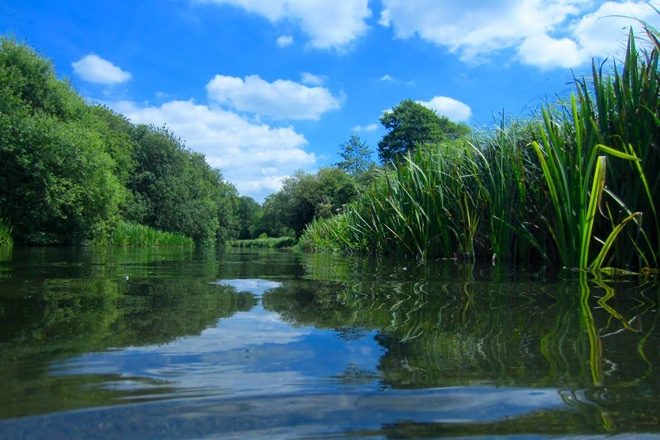 Cocaine and ketamine have been found in Britain’s river wildlife