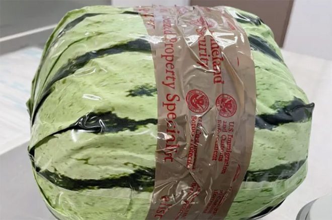 ​$5 million worth of meth discovered in fake watermelons on US-Mexico border