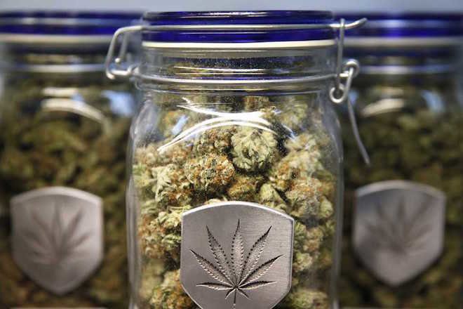 One million pounds of marijuana expected to be sold in California this year