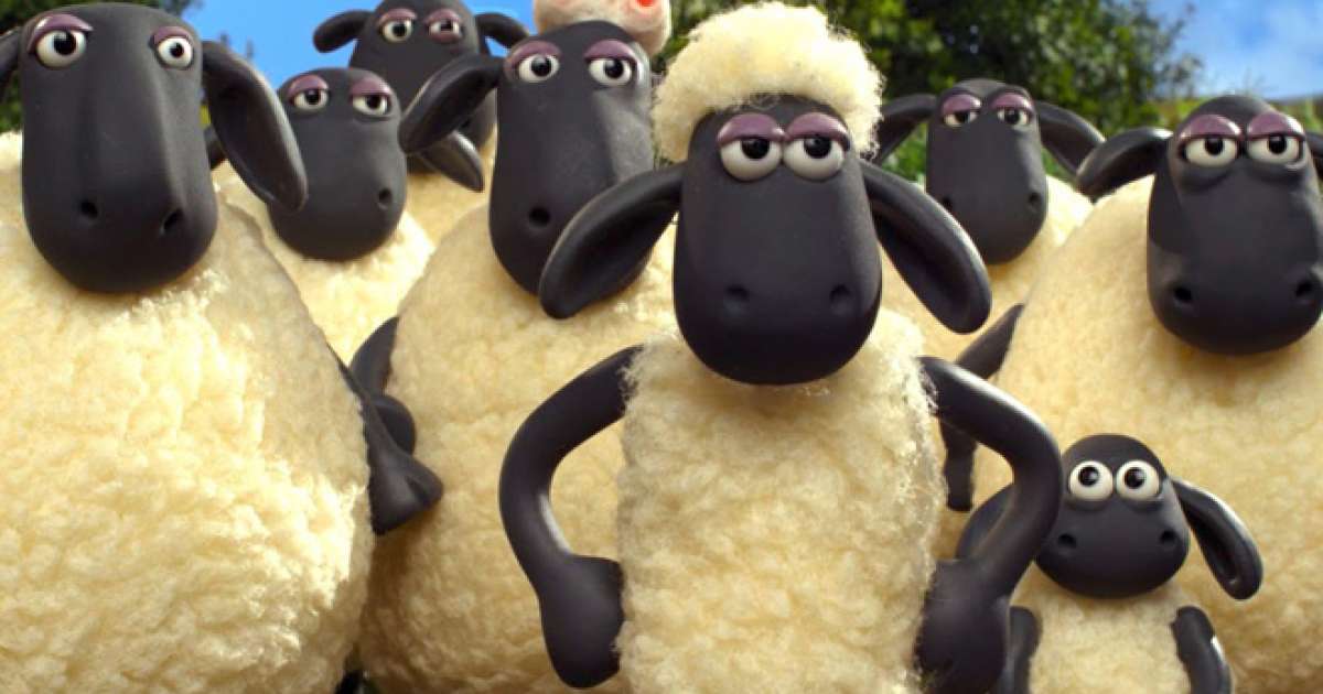 Sheep poo has caused Bristol festival Another World to be called off ...